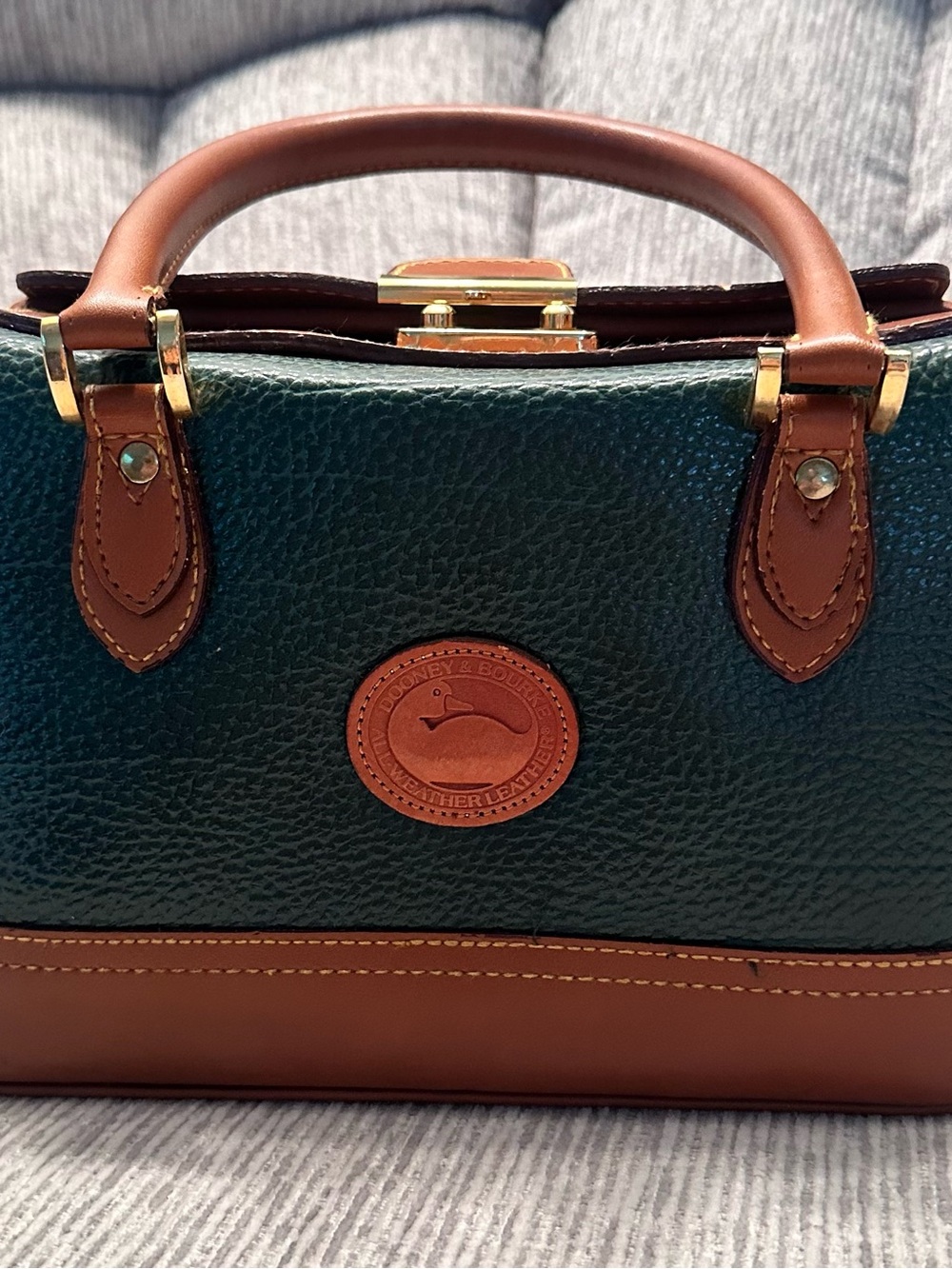 RARE Vintage Dooney & Bourke Lined Doctor Bag - Green Frame